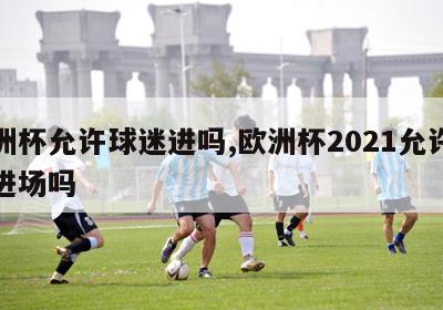 欧洲杯允许球迷进吗,欧洲杯2021允许观众进场吗