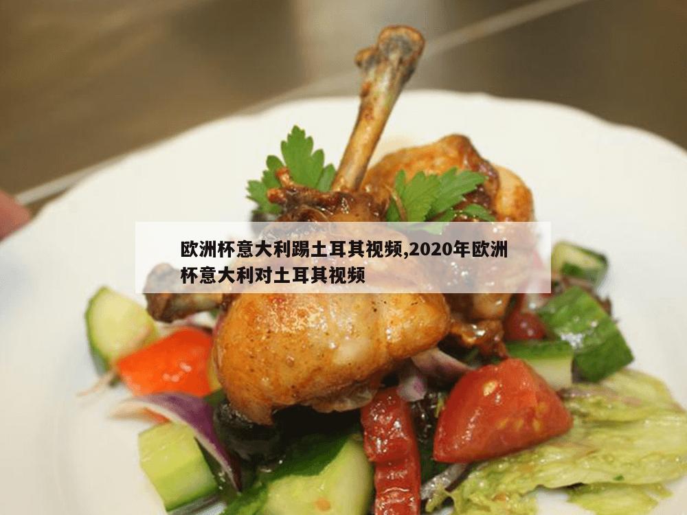 欧洲杯意大利踢土耳其视频,2020年欧洲杯意大利对土耳其视频