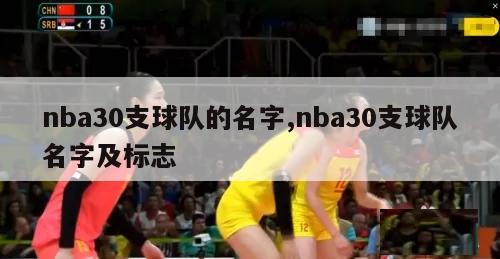 nba30支球队的名字,nba30支球队名字及标志