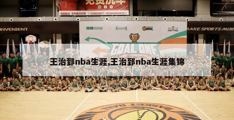 王治郅nba生涯,王治郅nba生涯集锦