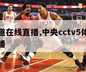 体育频道在线直播,中央cctv5体育频道在线直播