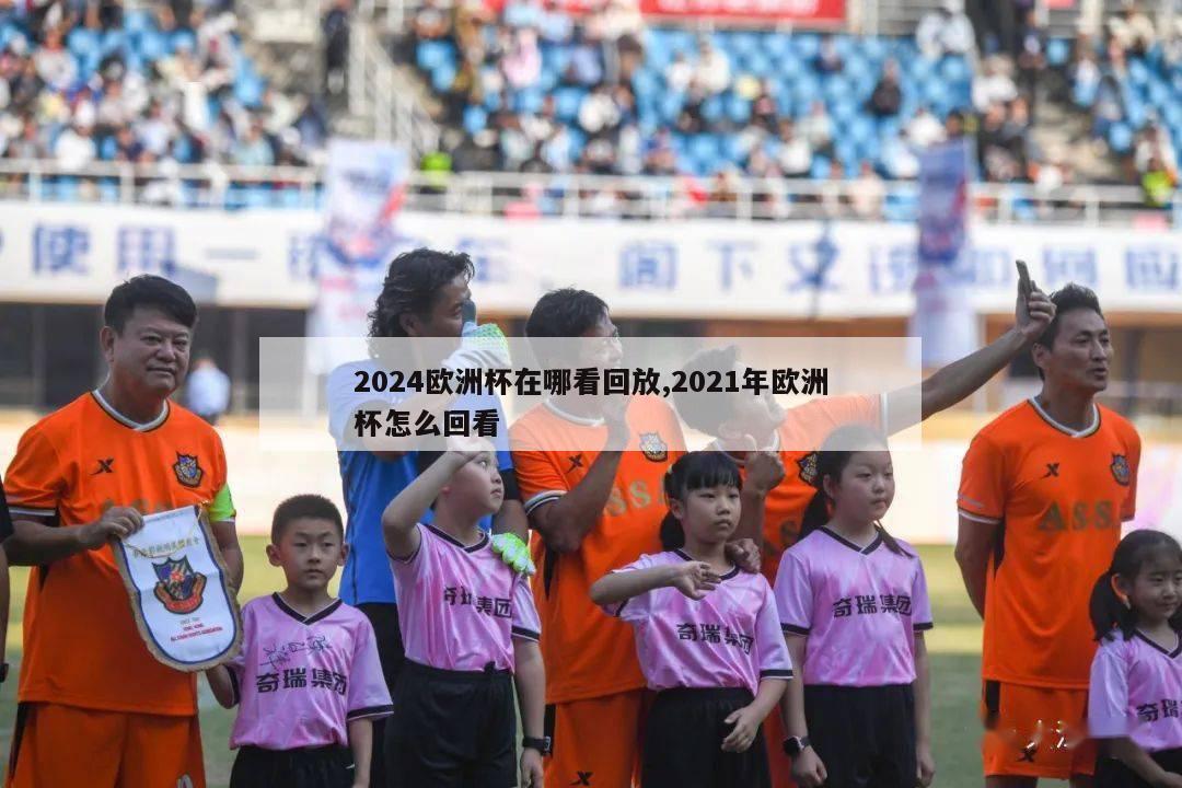 2024欧洲杯在哪看回放,2021年欧洲杯怎么回看