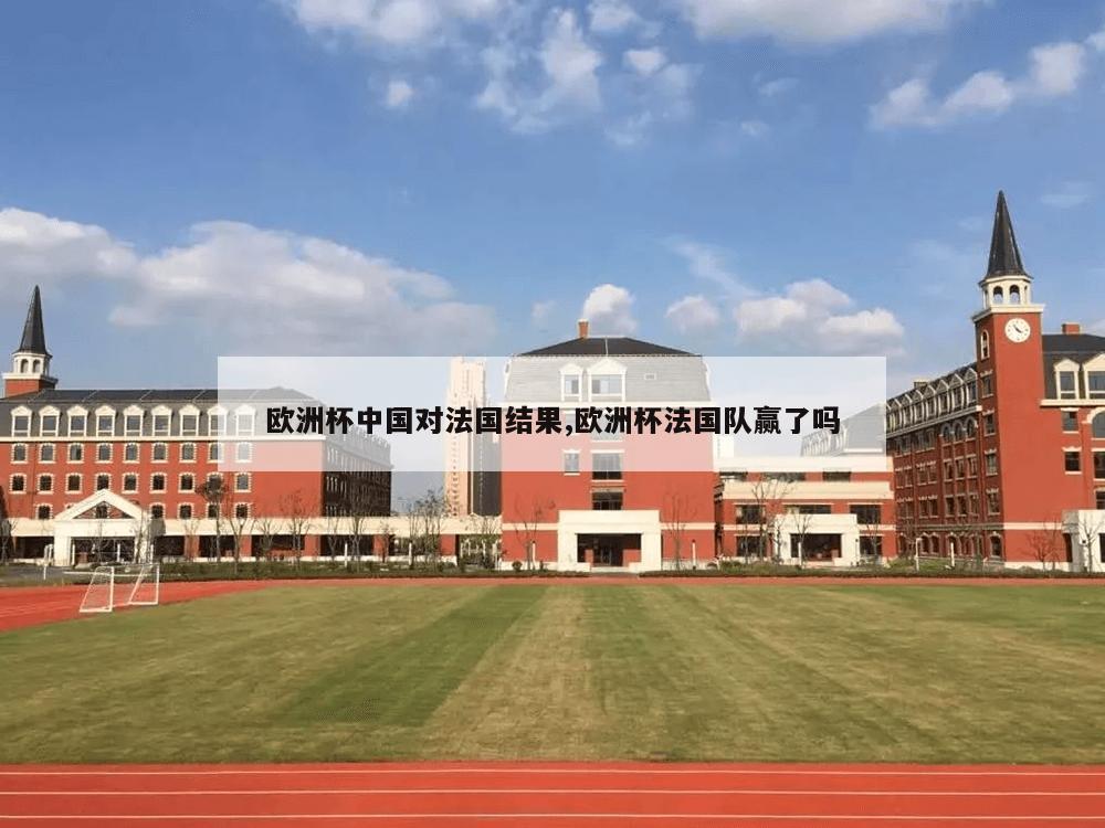 欧洲杯中国对法国结果,欧洲杯法国队赢了吗