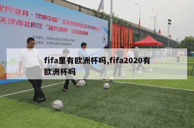 fifa里有欧洲杯吗,fifa2020有欧洲杯吗