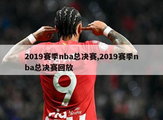 2019赛季nba总决赛,2019赛季nba总决赛回放