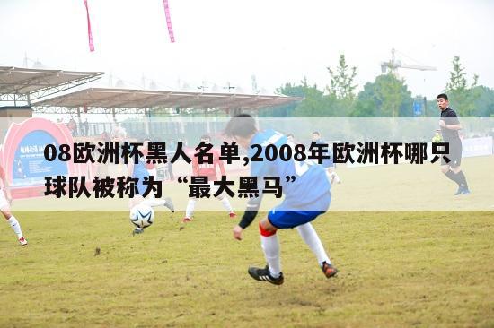 08欧洲杯黑人名单,2008年欧洲杯哪只球队被称为“最大黑马”