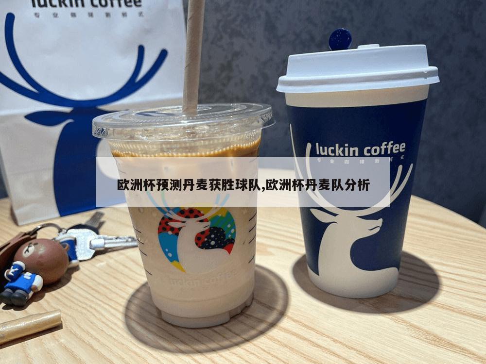 欧洲杯预测丹麦获胜球队,欧洲杯丹麦队分析