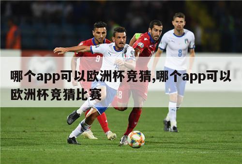 哪个app可以欧洲杯竞猜,哪个app可以欧洲杯竞猜比赛