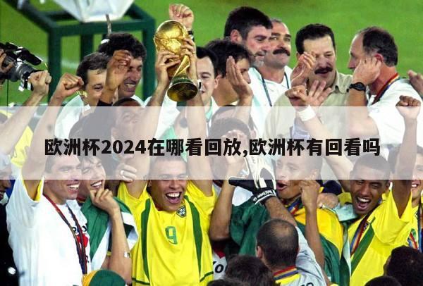 欧洲杯2024在哪看回放,欧洲杯有回看吗